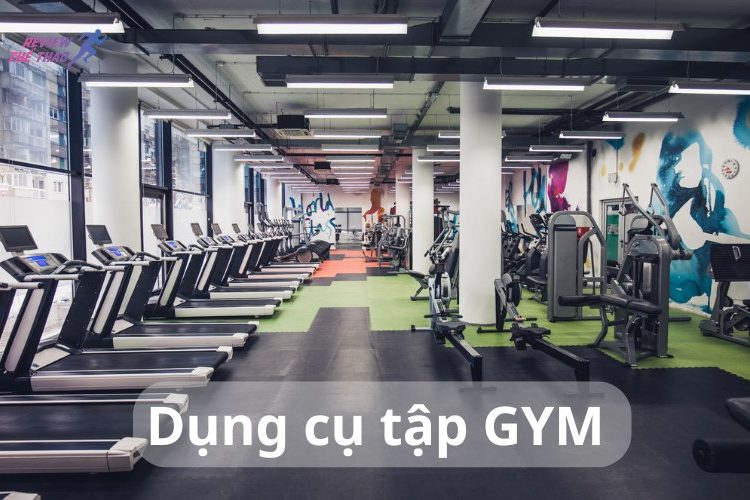 Dụng cụ tập gym