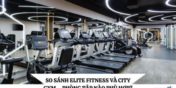 Elite Fitness
