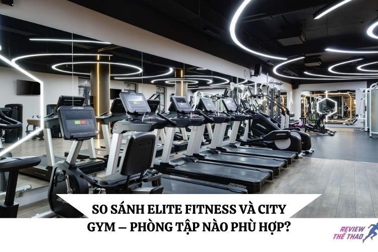 Elite Fitness