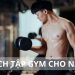 Lịch tập gym cho nam: Hướng dẫn toàn diện và chi tiết nhất