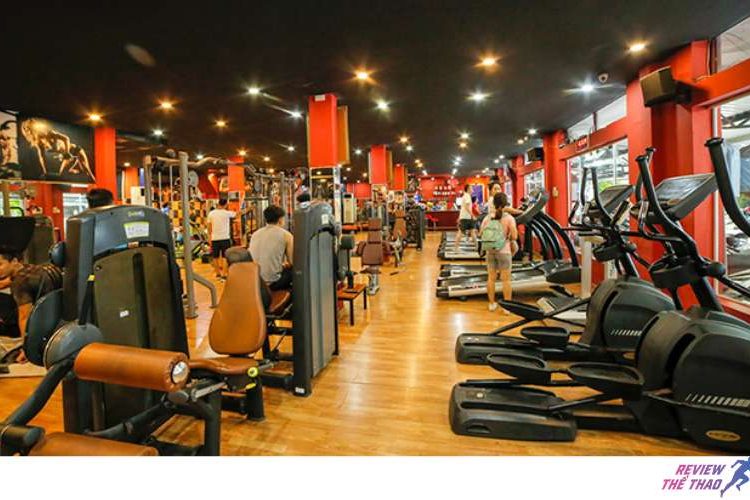 10+ phòng gym quận 11 chất lượng