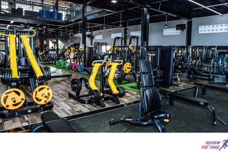 Top 10 phòng gym Quận 5 chất lượng nhất để rèn luyện sức khỏe