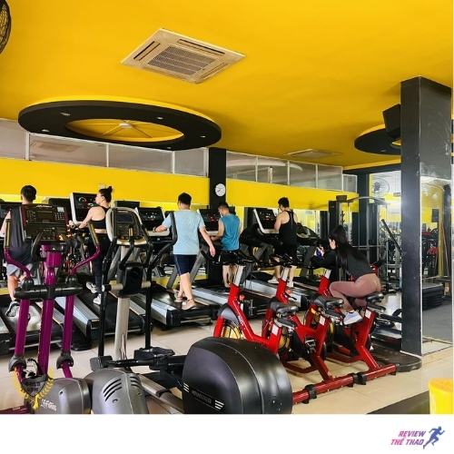 Gold Gym với không gian tập luyện sạch sẽ và đầy đủ tiện nghi