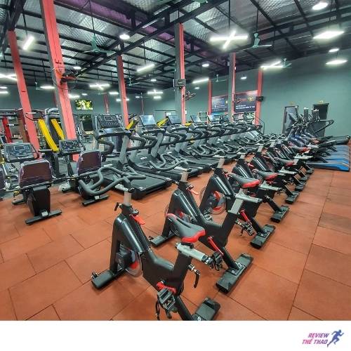 Newlife Gym – Nâng tầm thể lực, chinh phục vóc dáng mơ ước