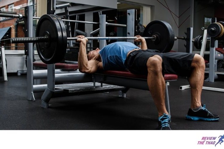Hướng dẫn bài tập Bench Press - đẩy ngực với thanh tạ