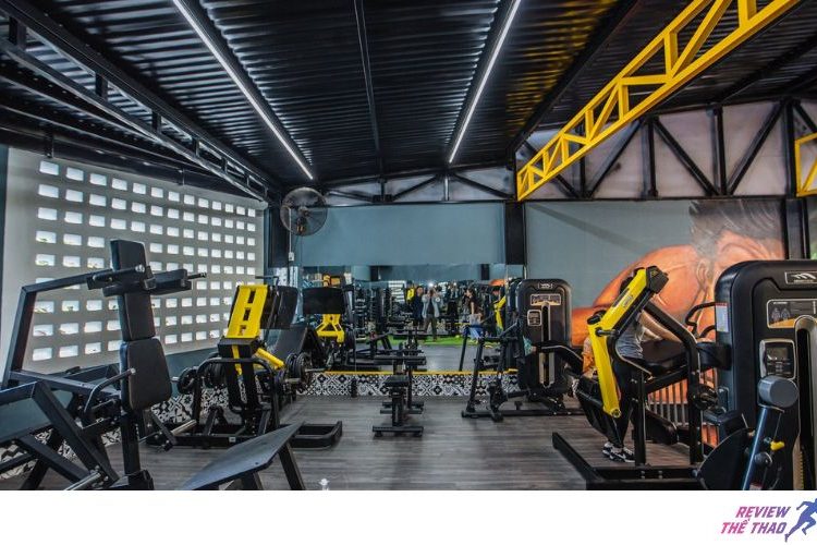 Top 10+ phòng gym gần đây có giá tốt, máy xịn, PT tận tâm