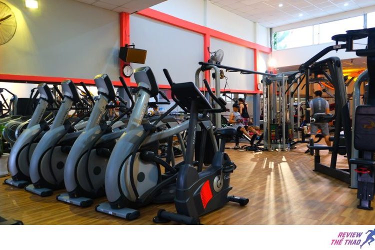 Top 10 phòng gym Quận 12 chất lượng, giá hợp túi tiền nhất