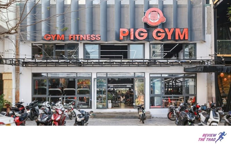 PIG GYM