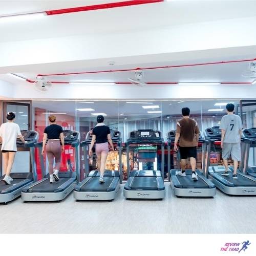The City Fitness & Yoga Center – nơi sức khỏe và sự cân bằng gặp nhau