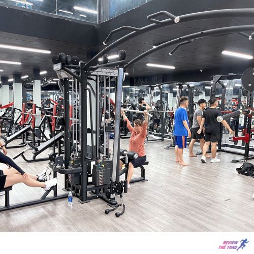 Pig Gym