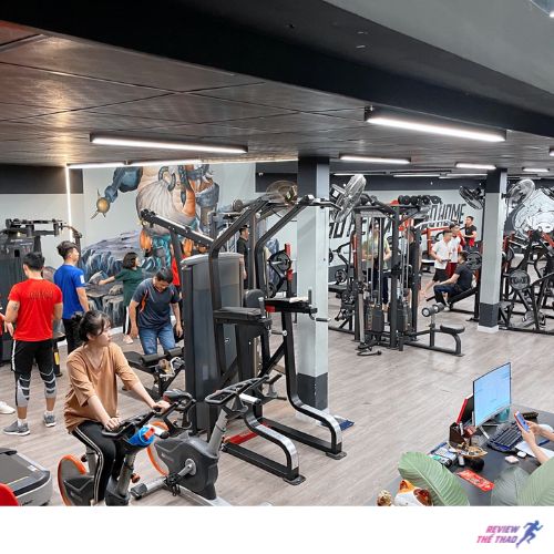 Pig Gym