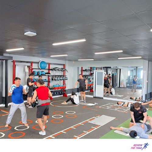 Pig Gym