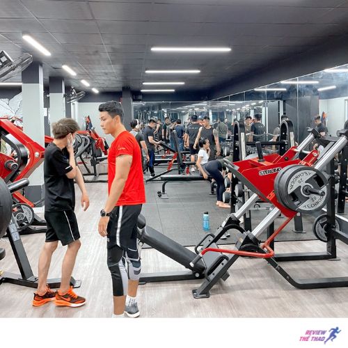 Pig Gym