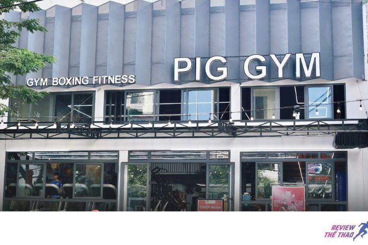 Pig Gym