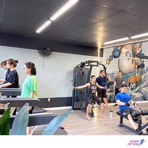 Pig Gym