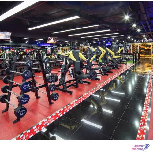 Hệ thống phòng gym từ phân khúc thấp đến cao