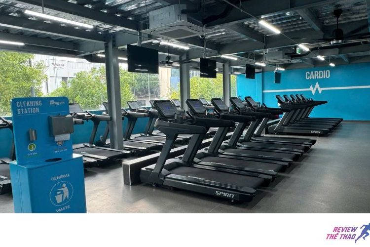 The New Gym ở Đà Nẵng