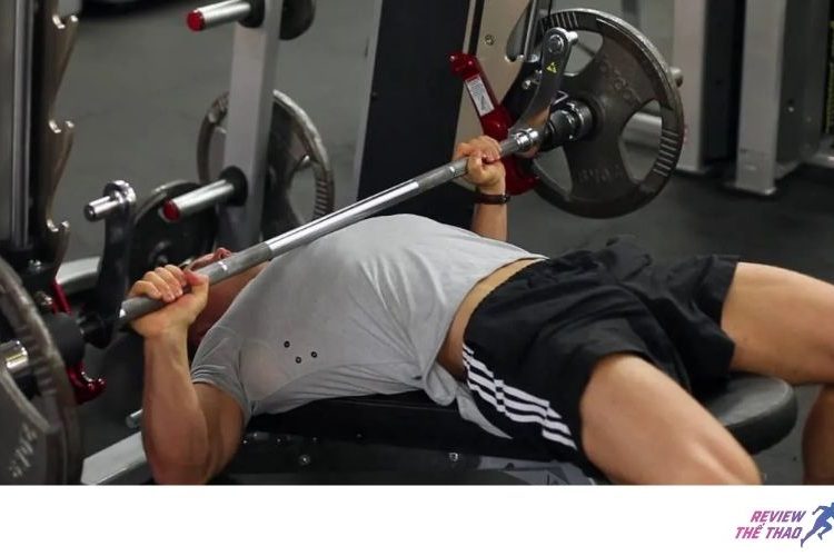 Top 15 thuật ngữ bài tập cho ngực mà bạn cần phải biết