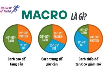 Macro là gì? Cách tính Macro chuẩn cho người tập Gym