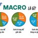 Macro là gì? Cách tính Macro chuẩn cho người tập Gym