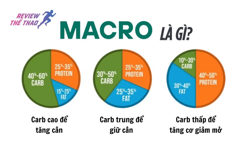 Meal prep la gi 2