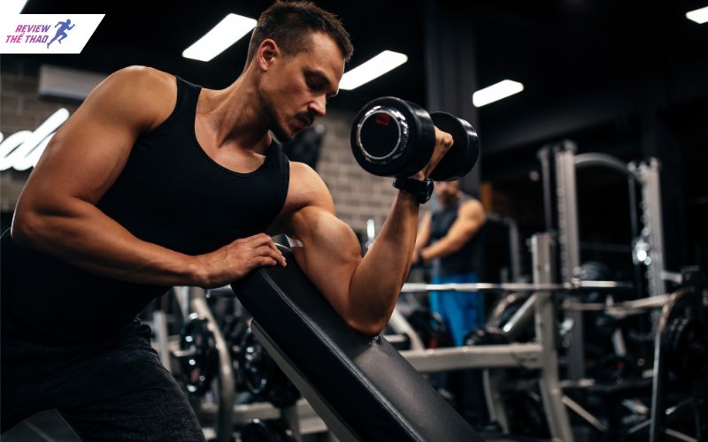 Body Fit là gì?