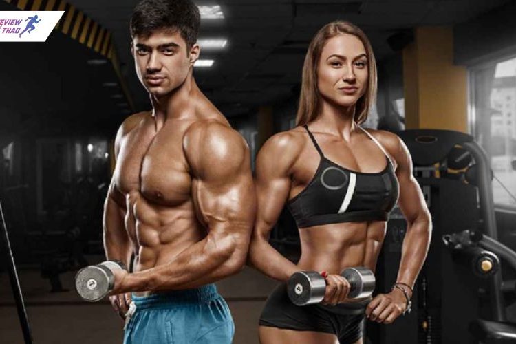 Bodybuilding với Powerlifting khác gì nhau? So sánh chi tiết