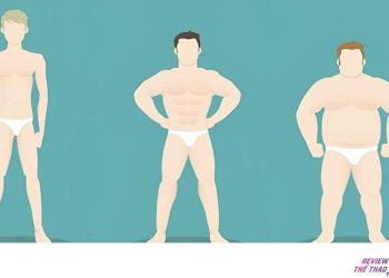 Ectomorph là gì? Giải mã tạng người gầy khó tăng cân và cách khắc phục