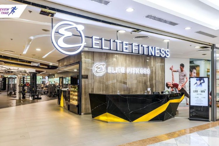 Elite Fitness IPH Xuân Thủy có gì nổi bật? Review chi tiết từ A-Z