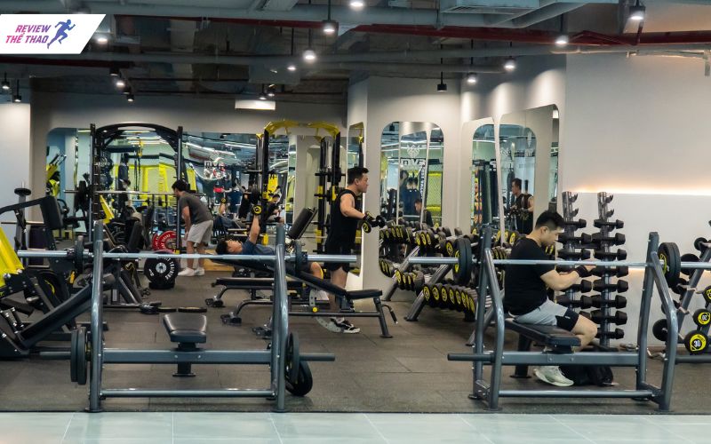 Đánh giá tổng thể về MVP Fitness