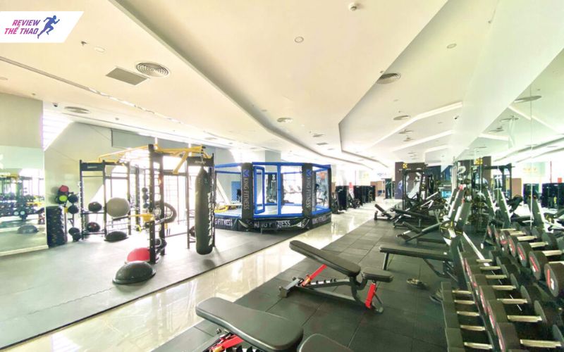 King Fitness