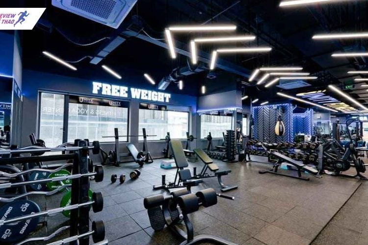 Top 15 phòng gym Hà Nội cao cấp đáng tập nhất năm 2025