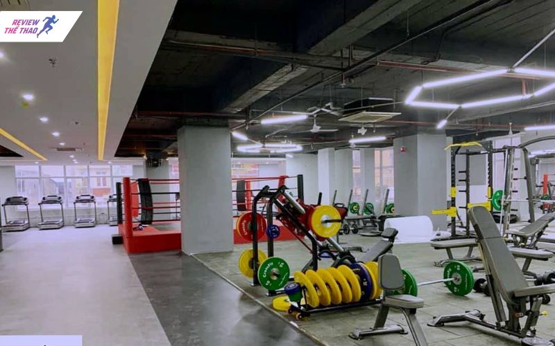 Apex Fitness & Yoga