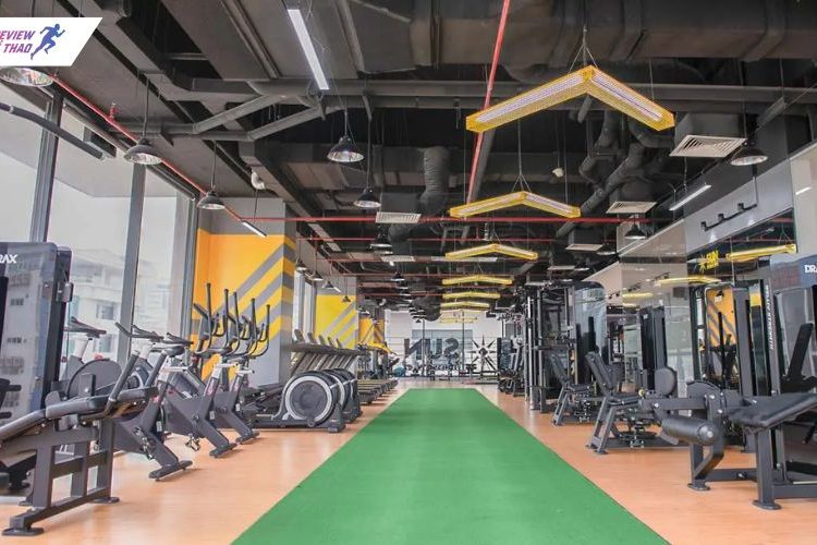 Top 10 phòng gym quận Cầu Giấy chất lượng, giá tốt