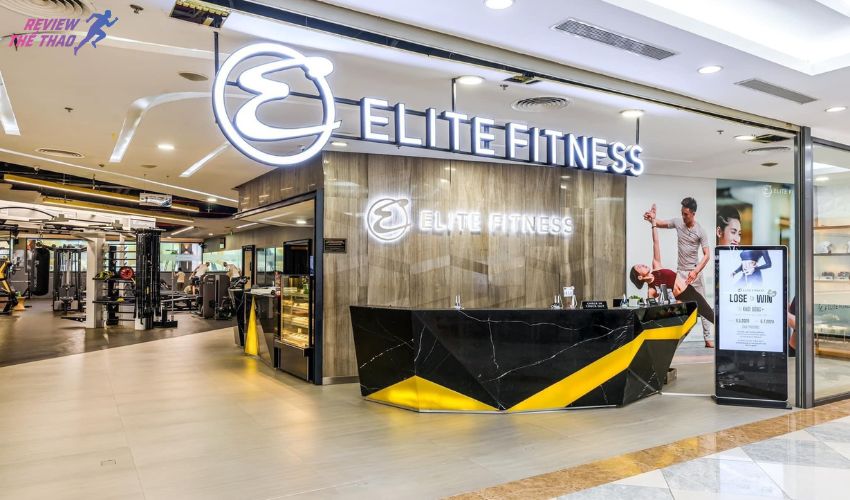 Elite Fitness - Hệ thống phòng gym Quận Đống Đa chất lượng 5