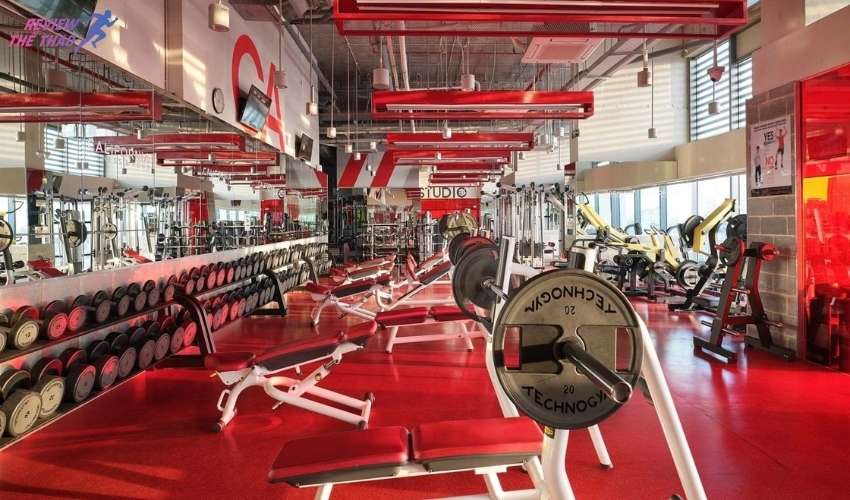 California Fitness & Yoga Centers Vietnam mang đến trải nghiệm tập luyện đỉnh cao