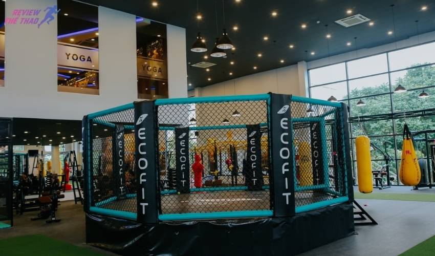 Ecofit chính là nơi bạn cần khi tìm kiếm phòng tập gym cho nữ ở Hà Nội