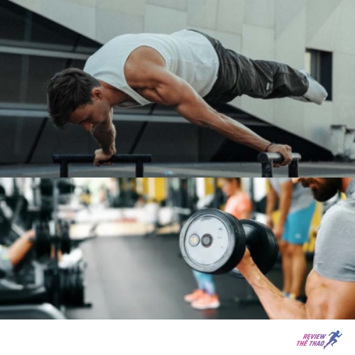 Phòng tập máy móc hiện đại, không gian phát triển cơ bắp