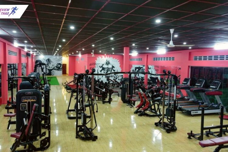 Giải đáp thắc mắc: Tập fitness có cần vào phòng gym không?