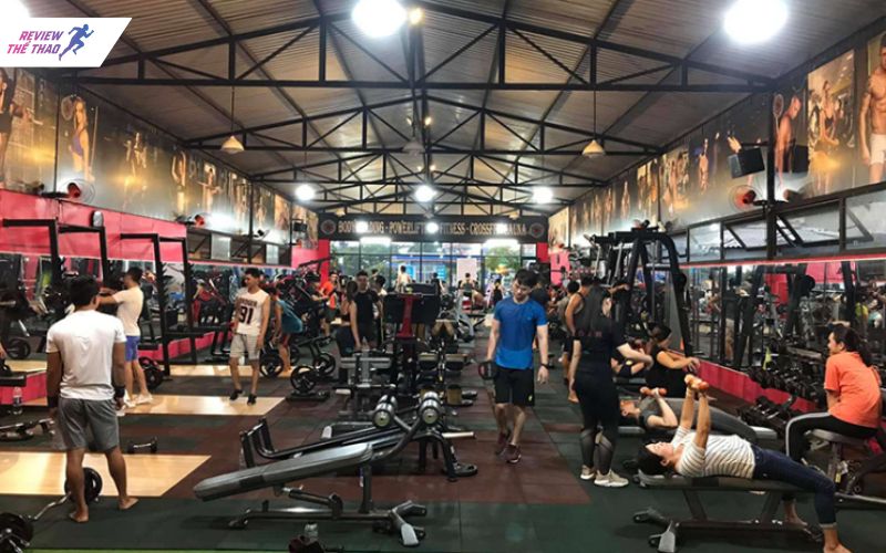 Tập fitness có cần vào phòng gym không tùy vào nhu cầu của mỗi người