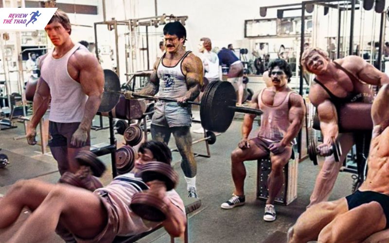 Tập luyện thể thao đều đặn nâng cao hiệu quả chức năng tim mạch