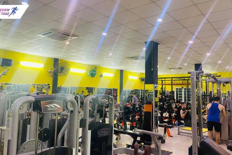 Review chi tiết Gold Gym: Trải nghiệm tập luyện lý tưởng