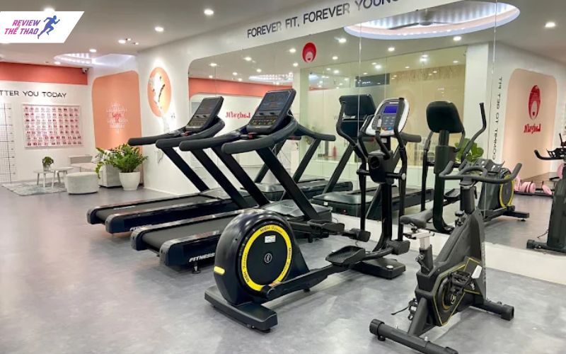 Ladysfit Ninh Bình – Phòng gym Ninh Bình đẹp, riêng tư và thân thiện
