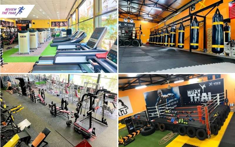 Tập luyện hiệu quả với hệ thống máy móc chuẩn quốc tế